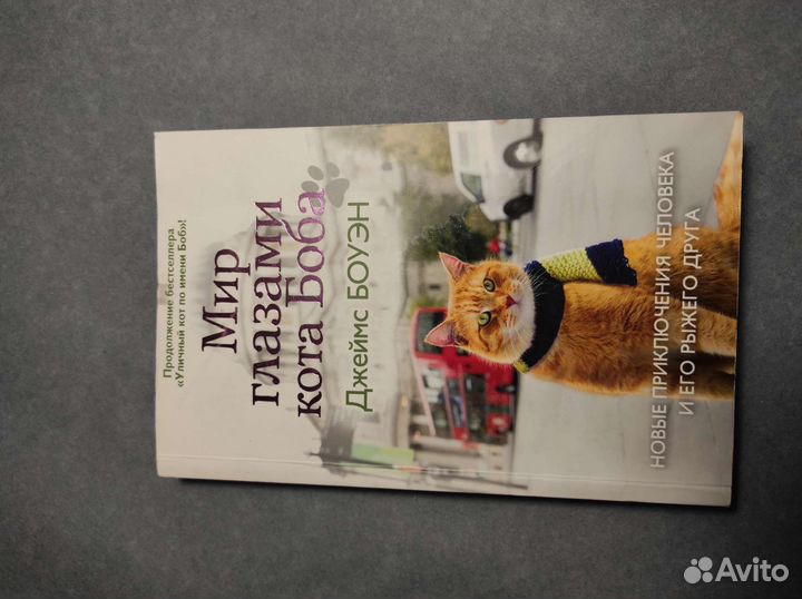 Мир глазами кота Боба