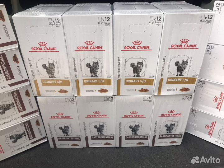 Royal canin паучи 85 гр/12