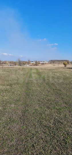 Участок 10 сот. (СНТ, ДНП)