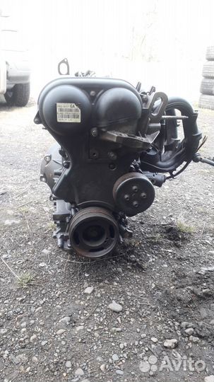 Двигатель ford focus 2. 1.4