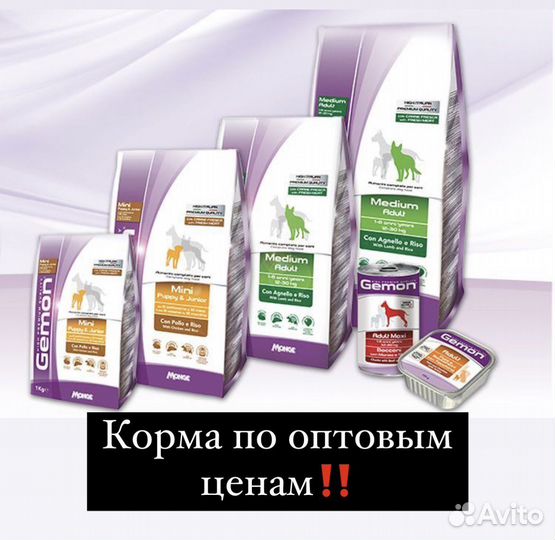 Корма Monge и Gemon