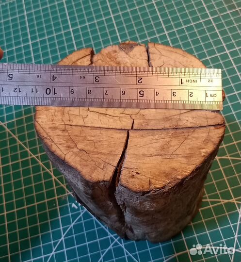 Фрагмент бивня мамонта