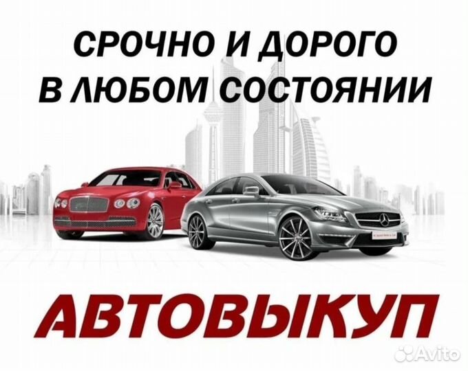 Авто выкуп. Выкуп авто. Автовыкуп 24/7