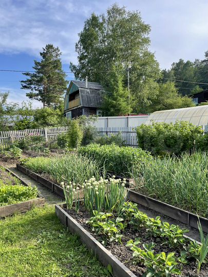 Дача 35 м² на участке 5 сот.