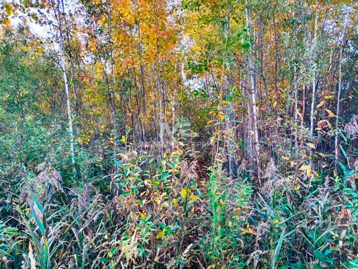 Участок 6 сот. (СНТ, ДНП)