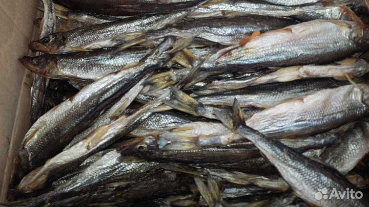 Корюшка вяленая с икрой (доставка)