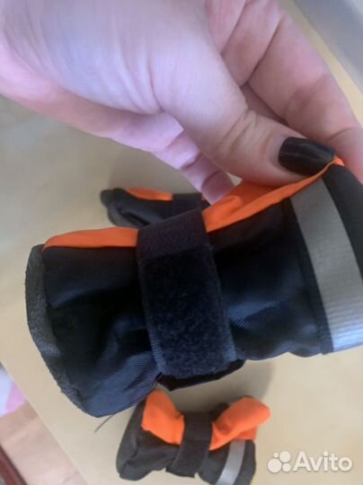 Ботиночки для маленькой собачки