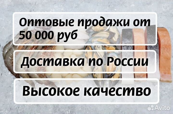 Конечности Камчатского краба от постащика/оптом