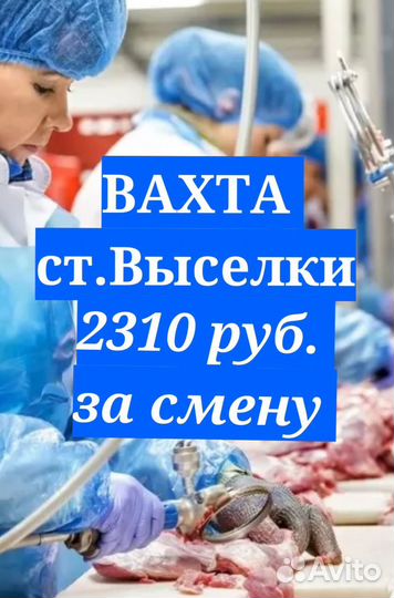 Упаковщик курицы / ст.Выселки