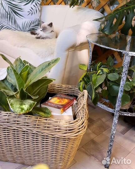 Дровница плетёная