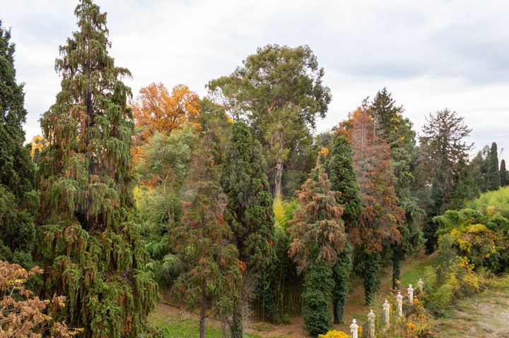 Квартира-студия, 27 м², 5/7 эт.