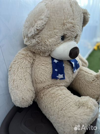 Плюшевый медведь
