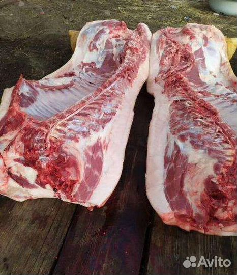 Продам мясо свинины