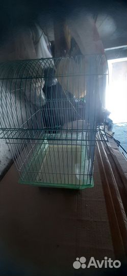 Клетка для попугаев