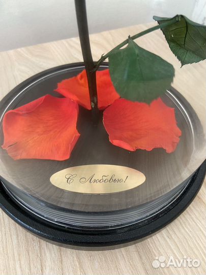 Роза в колбе