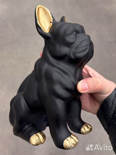 Французский бульдог интерьер