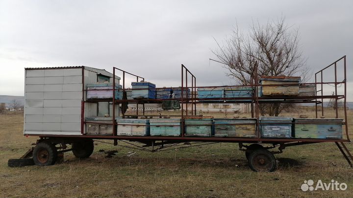 Прицеп для перевозки пчел