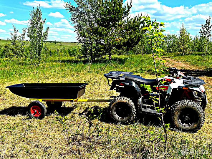 Прицеп для квадроцикла (тележка) Ермак 2002