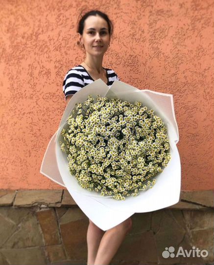 Цветы ромашки