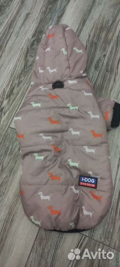 Одежда для щенка