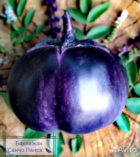 Семена дыни Тыдагункуайха и других овощей почтой