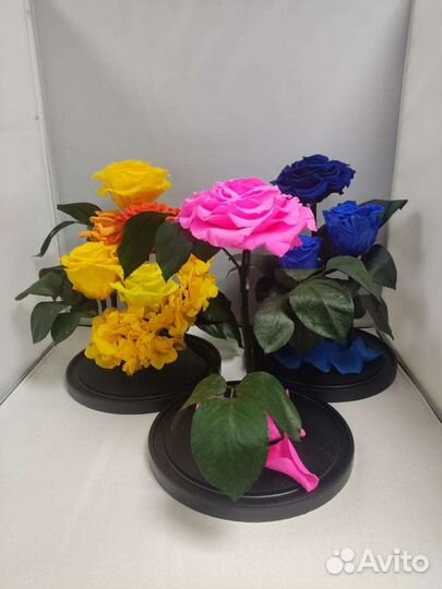 Роза в колбе оптом и в розницу