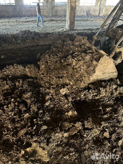 Навоз перегной