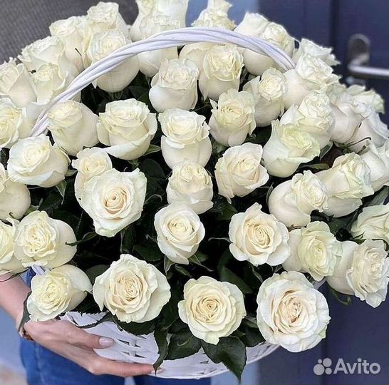 Розы высокие Доставка цветов