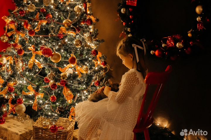 Фотосессия