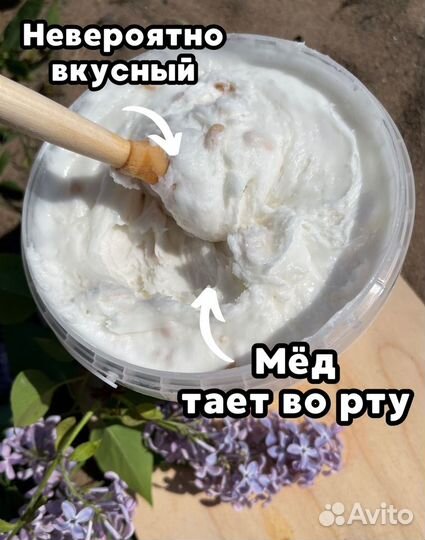 Кедровый мед с пасеки