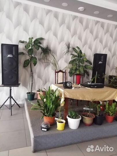 Peavey PV 215 пассивная акустическая система С защ