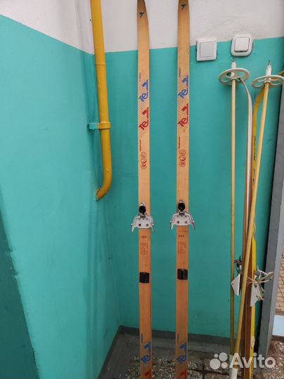 Беговые лыжи