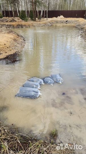 Малек Карпа Карася Амура Толстолобика Зарыбление
