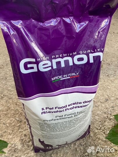 Корм для собак и кошек Gemon