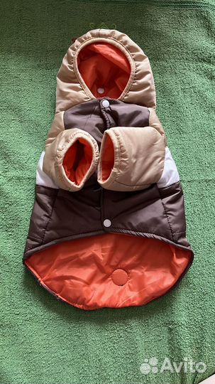 Жилетка и курточка для маленьких собак