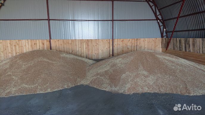 Пшеница, кукуруза, ячмень