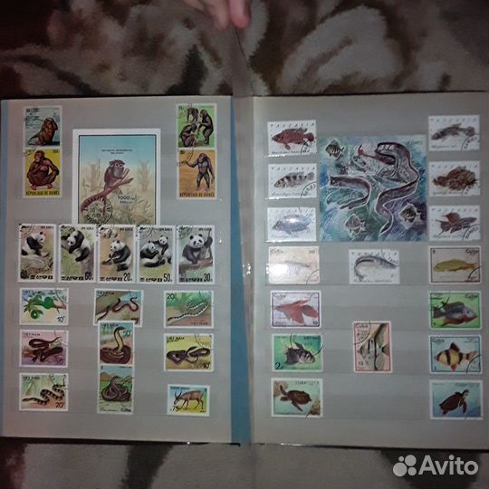 Марки коллекция на тему флора и фауна