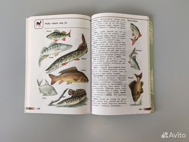 Атлас определитель от земли до неба