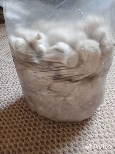 Шерсть, пух хаски (вычес)