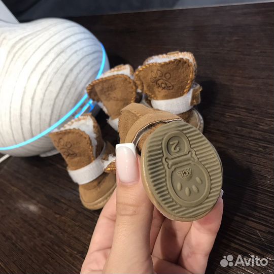 Ботинки для маленьких собак