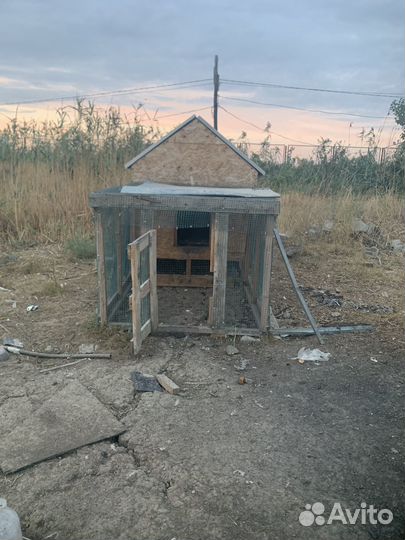 Курятник вместе с курями