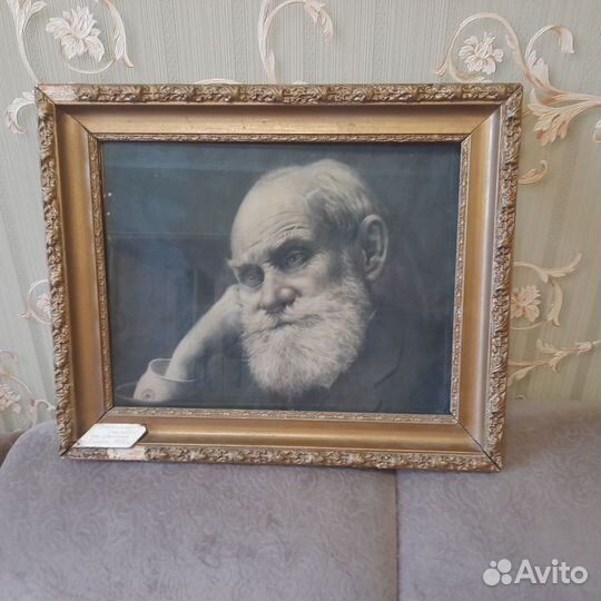 Портрет Павлов Иван Петрович