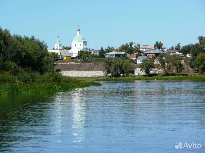 Тур в Вешенскую из Ростова, лес,грибы, путешествия