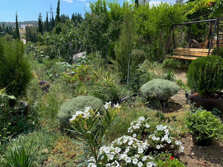 Дом 60 м² на участке 8 сот.