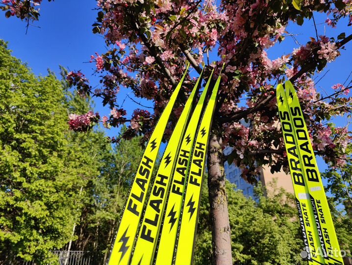 Лыжи беговые Brados Carbon Skate 176