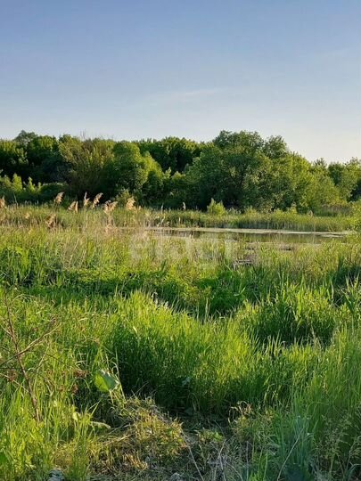 Участок 13 сот. (ИЖС)