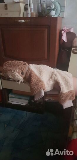 Ожежда для животных