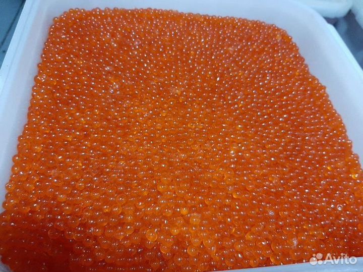 Икра оптом горбуши