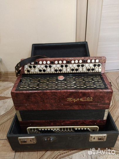 Баян Тула 202