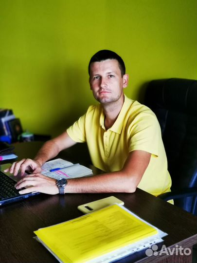 Семейный юрист алименты развод раздел имущества